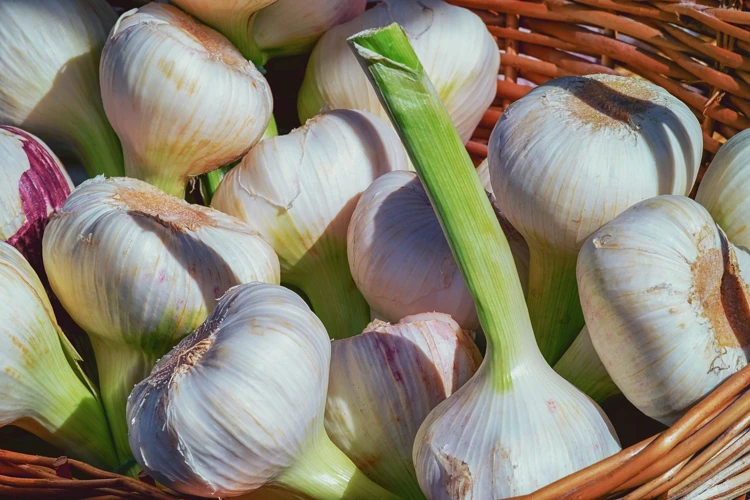 Symbolika Cibule A Česneku V Obecné Snové Interpretaci